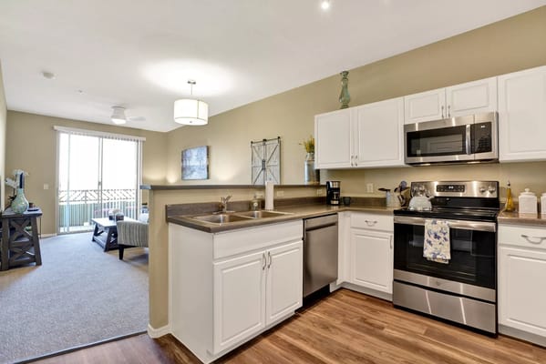 Spacious kitchen featuring stainless steel appliances and a living area view.