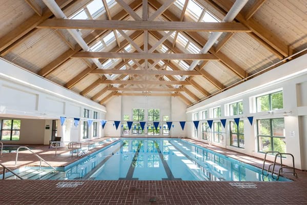 Bright indoor swimming pool with wooden beams and windows