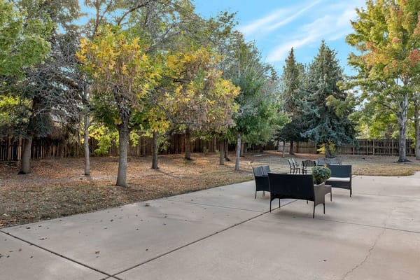 Outdoor space with trees and seating area