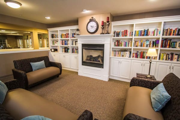 Living room with two sofas, a fireplace, and bookshelves filled with books
