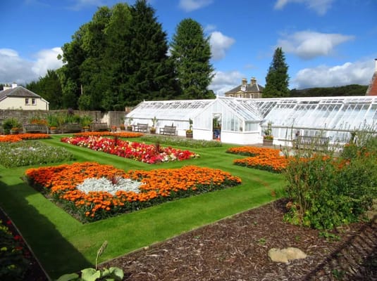 Vibrant garden with colorful flowerbeds and greenhouse
