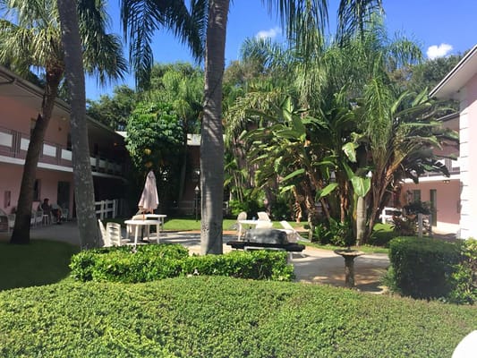 Lush courtyard with palm trees and residents relaxing