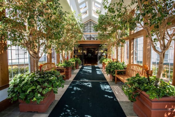 Bright and inviting indoor corridor with benches and plants