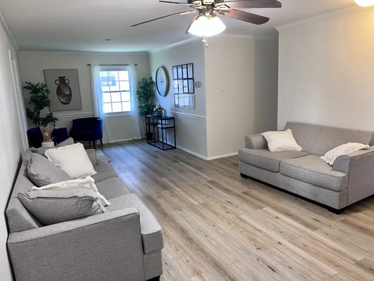 Bright and airy living room with two gray sofas and decorative plants