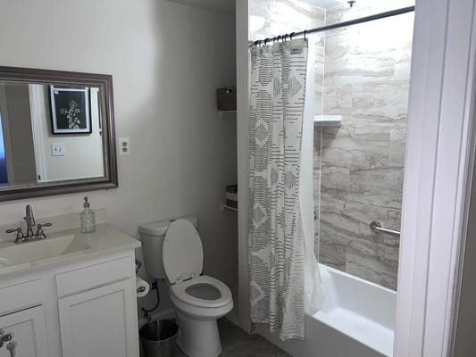 Modern bathroom with a shower and sink