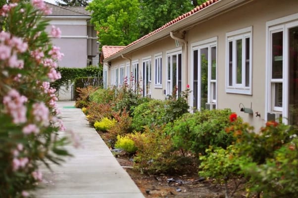 Flowers and pathway in front of a building
