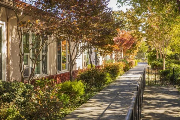 Pathway through landscaped outdoor area of the facility