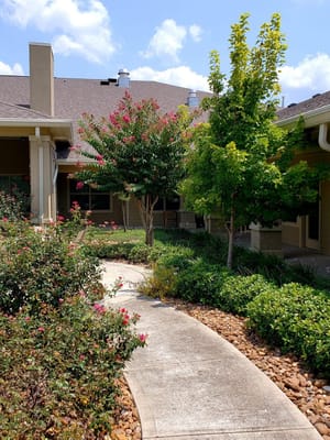 A landscaped garden path with flowering bushes leading to a building.