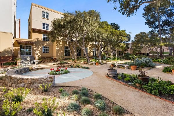 Beautiful outdoor garden space with flowers and trees