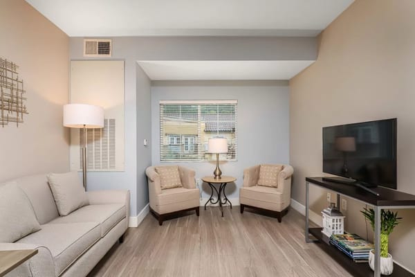 Bright interior of a cozy living room space