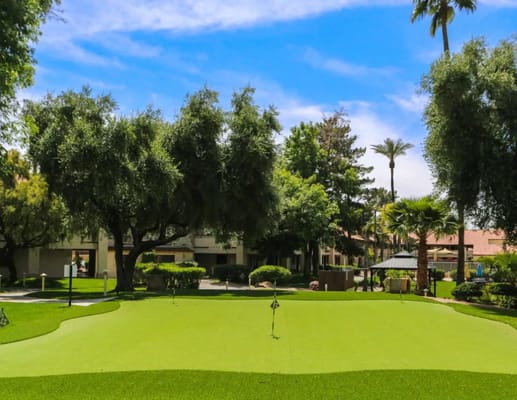 A well-maintained golf putting green surrounded by trees