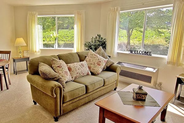 Bright living room with a green couch and windows