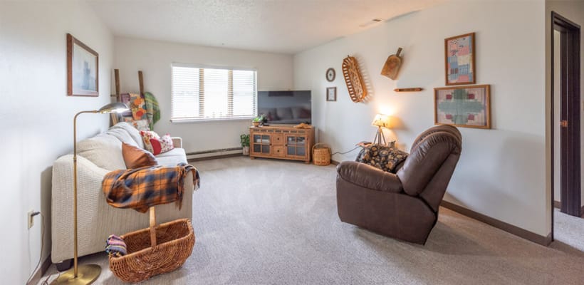 Bright living room with comfortable seating and decorations