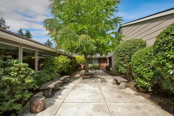 Outdoor garden area with benches and greenery
