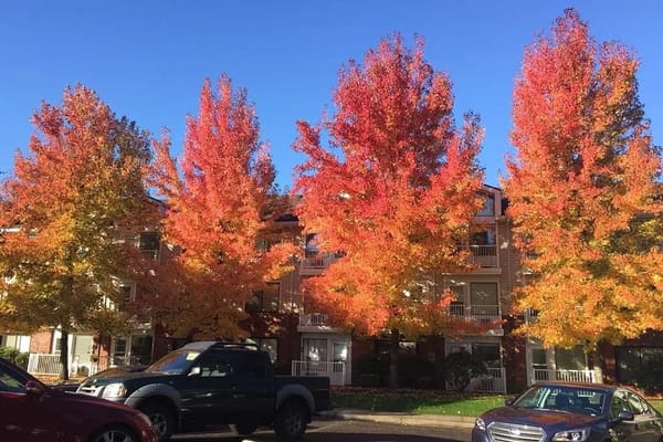 Building exterior with vibrant autumn trees