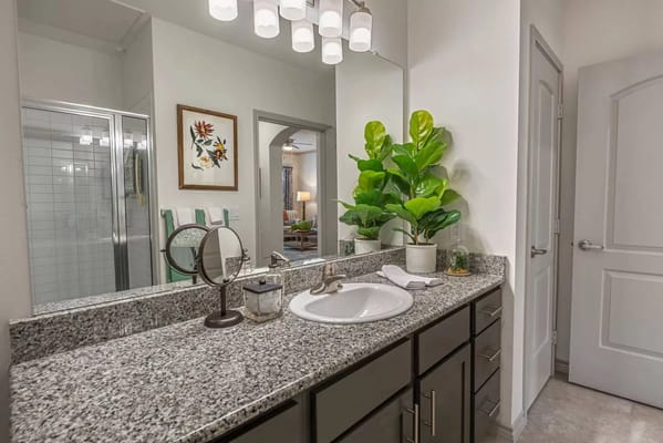 Modern bathroom with a plant and vanity setup