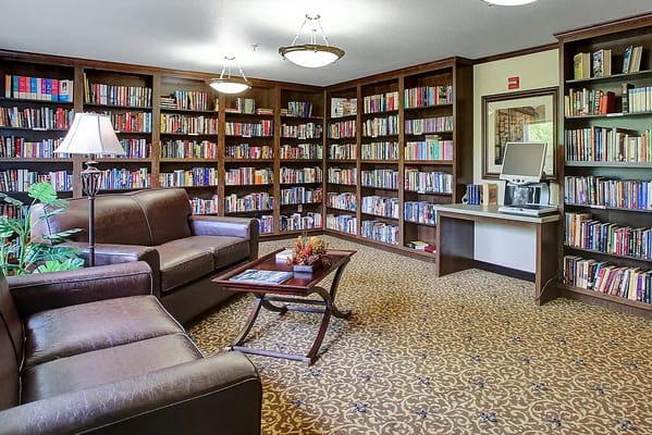 Cozy library with shelves full of books and comfortable seating