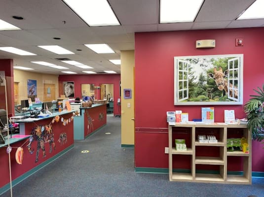 Colorful reception area with animal-themed decorations and a large window photo.