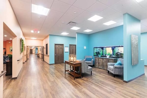 Brightly colored common area with seating and aquarium.
