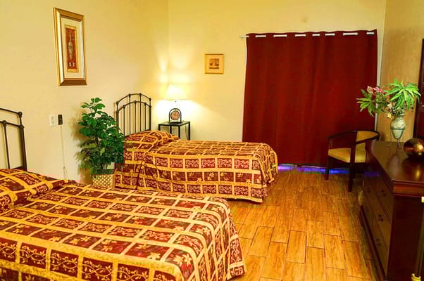 Cozy bedroom with two beds, a plant, and a lamp.