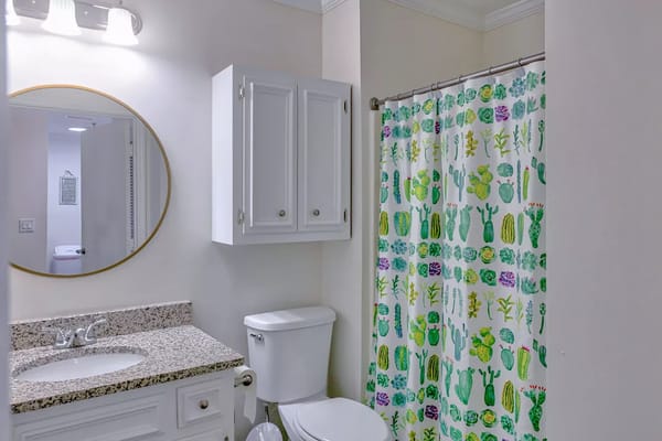 Interior bathroom featuring decorative shower curtain