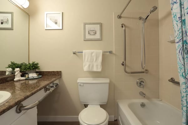 Modern bathroom with safety features and decor