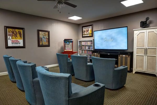 Cozy movie room with blue seating and TV