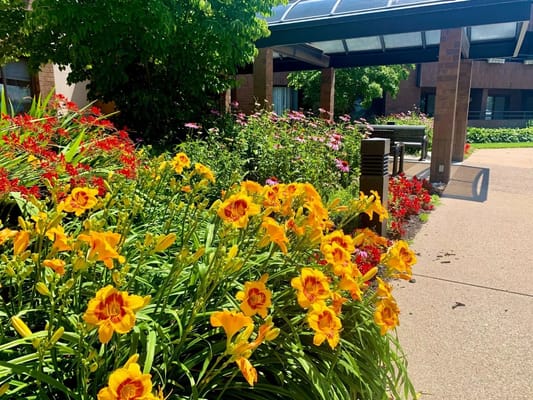 Vibrant flower garden at the entrance of the facility