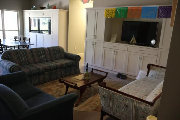 Cozy living room with sofas and television