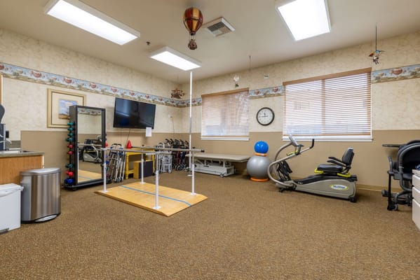 Interior view of a therapy room with exercise equipment