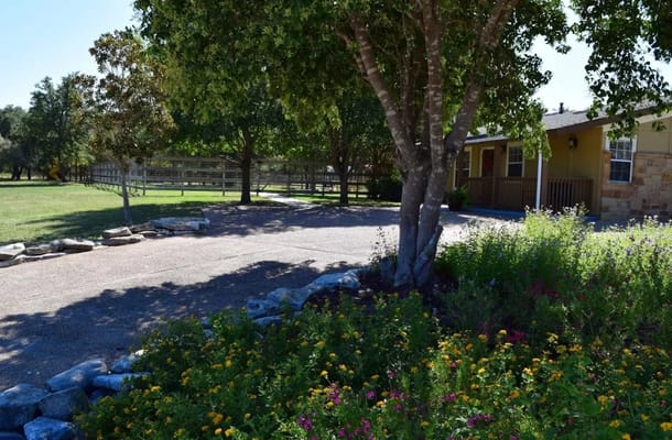 Outdoor space with flowers and trees at the facility.
