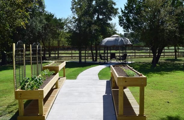 A serene landscaped garden with raised planters and a seating area
