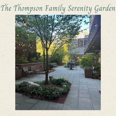 Peaceful garden area with benches and plants
