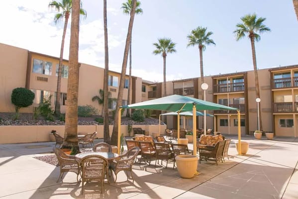 Outdoor seating area with tables and umbrellas surrounded by palm trees