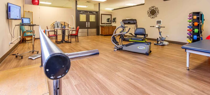A view of the therapy room featuring exercise equipment and training space.