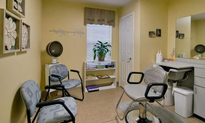 Interior of a beauty salon with chairs and plants