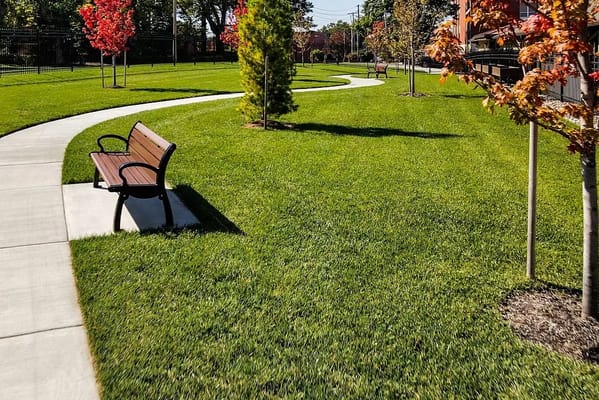 Curved pathway lined with benches and trees in a green park area