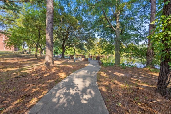 A paved pathway lined with trees leading to a lakeside area.