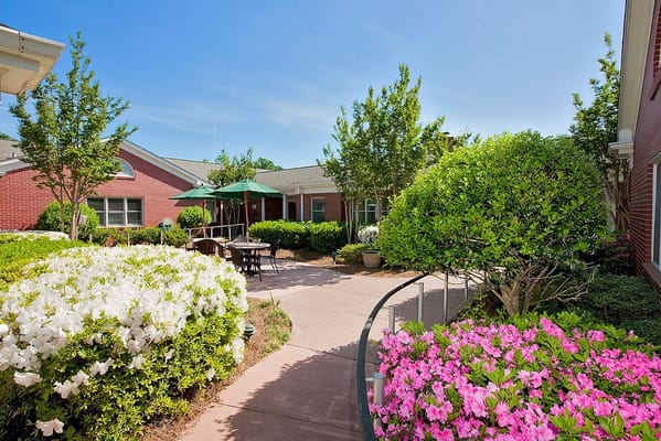 Lush garden with pink and white flowers outside a building