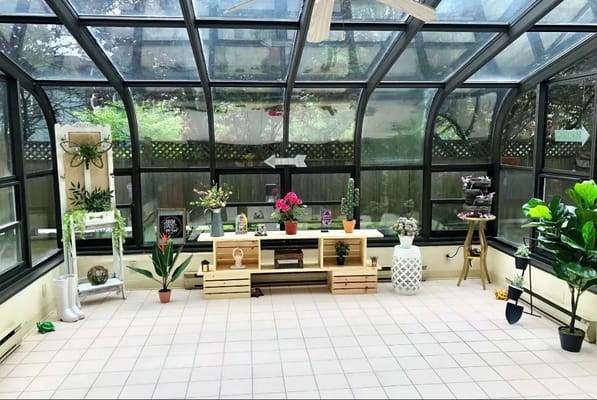 Bright sunroom with plants and a wooden shelf