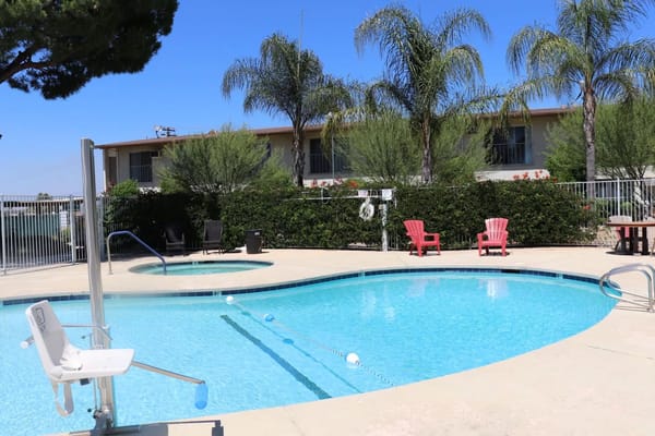 Outdoor pool area with palm trees and seating