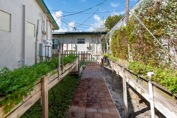 A pathway lined with greenery at Sunny Days Assisted Living