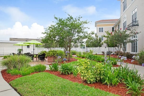 A blooming outdoor garden area with seating