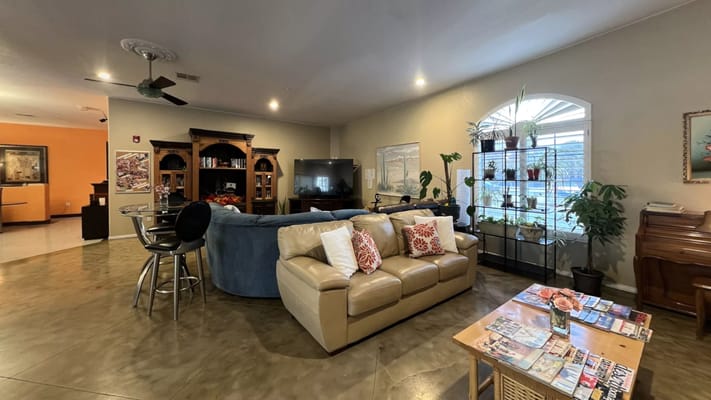 Comfortable living room with seating and plants