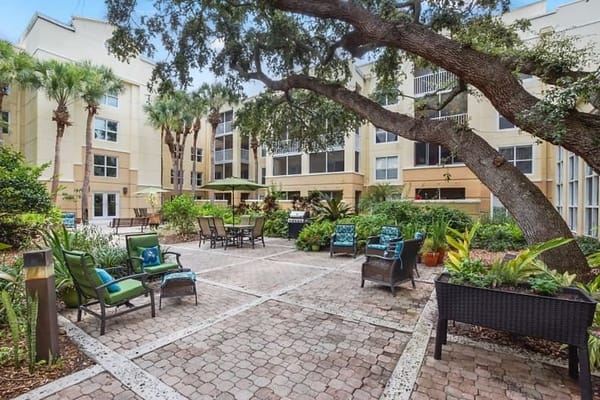 Outdoor seating area with greenery and palm trees