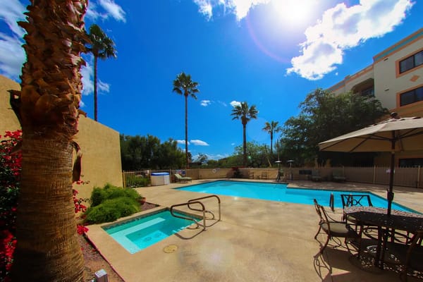 Outdoor pool area with palm trees and seating
