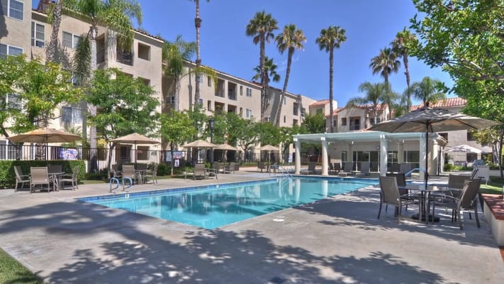 Swimming pool surrounded by palm trees and seating at The Ivy at Wellington