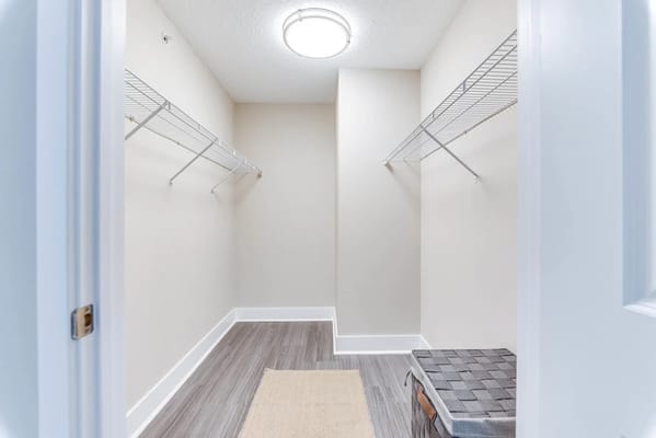 Empty closet with wire shelving and a small rug