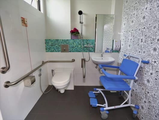 Accessible bathroom with grab bars and shower chair