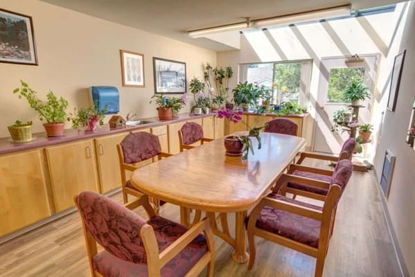 Bright dining area with wooden table and chairs surrounded by plants